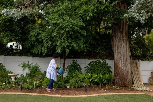 Landscaping for Privacy: Tips and Techniques - Mulch Mound