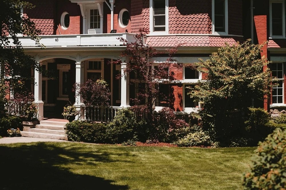 To Mulch or Not to Mulch - Mulch Mound