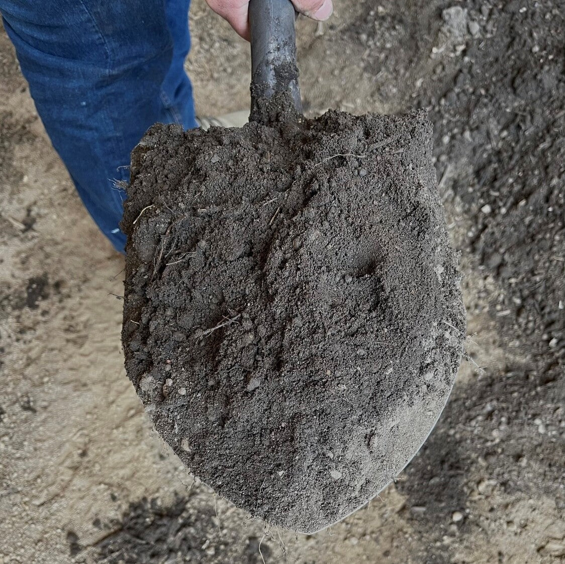 Boston Soil Delivery - Mulch Mound