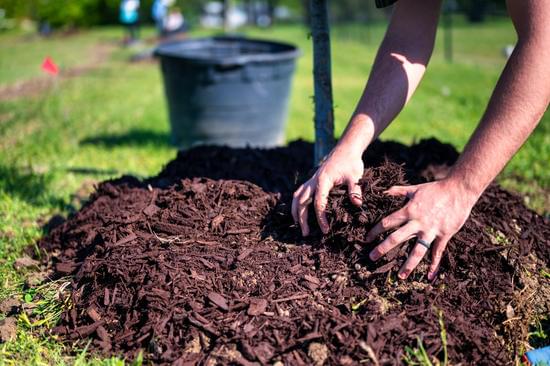 buy mulch in bulk