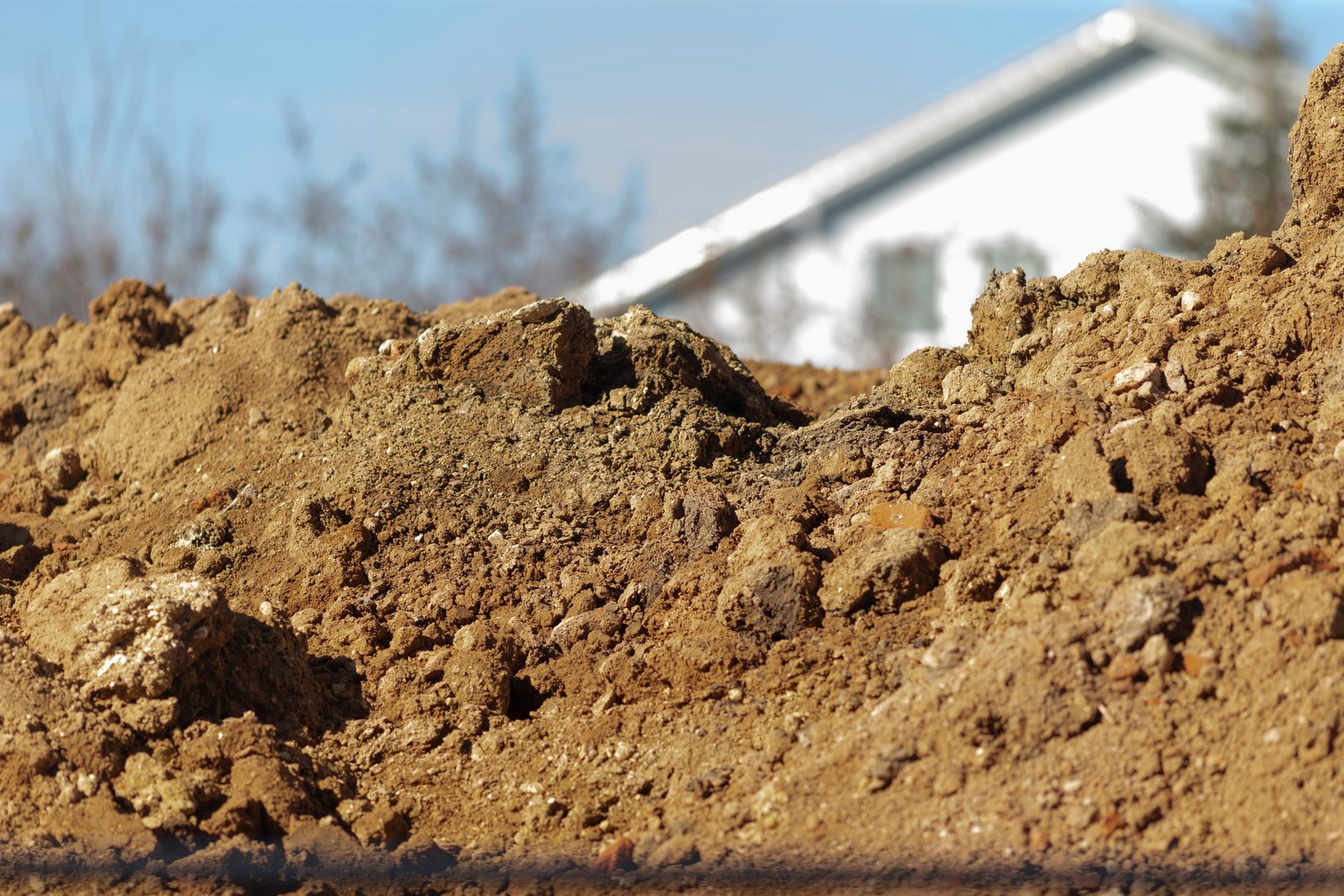 Fill Dirt