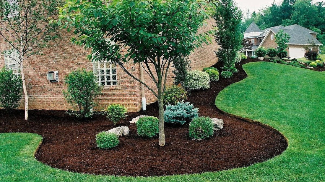 How Long Does Mulch Last? Guidance from Experts