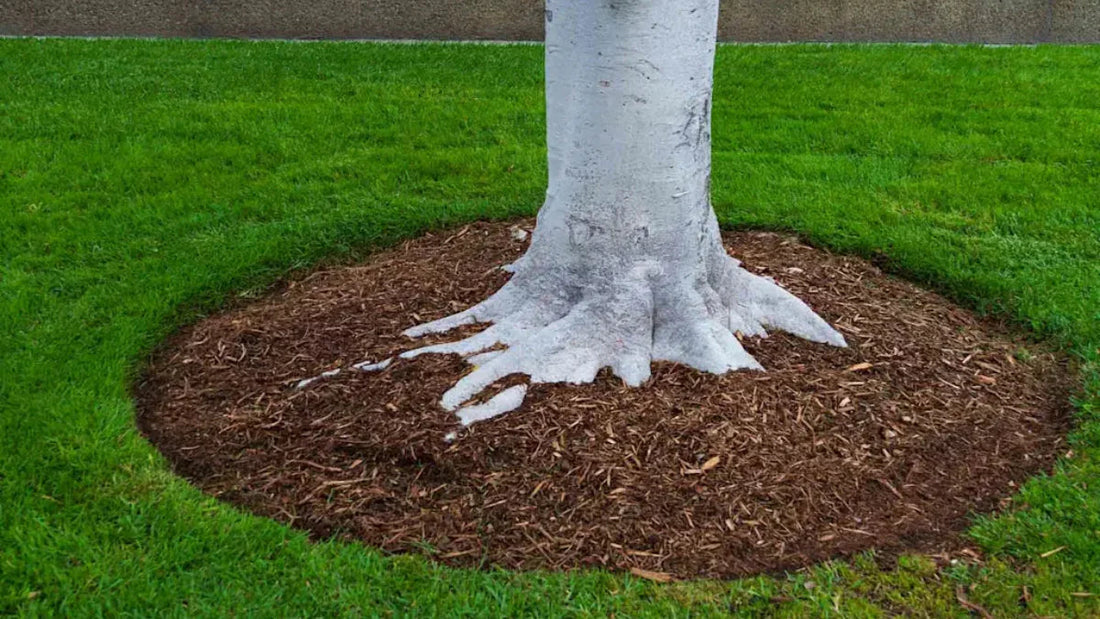 Mulch Installation Cost Per Yard Michigan