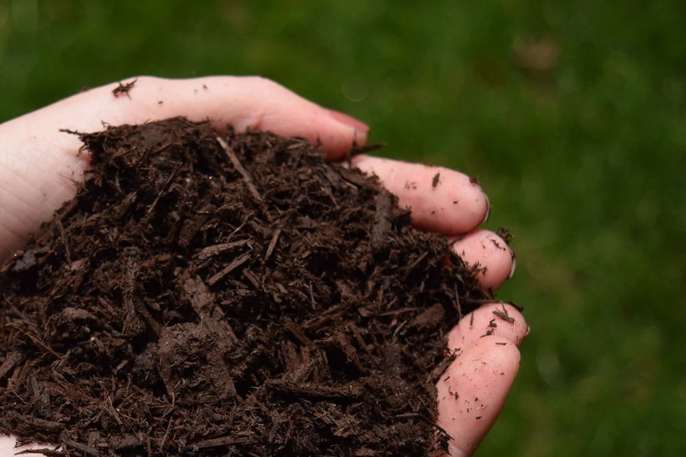 Bagged vs. Bulk Mulch: Which Should You Buy? - Mulch Mound