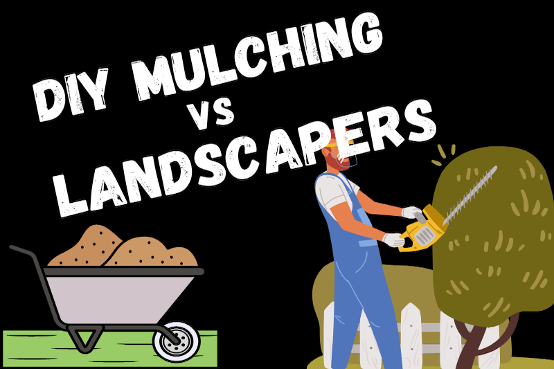DIY Mulching vs. Hiring Landscapers