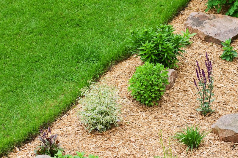 The Art of Edging Your Mulch Beds - Mulch Mound