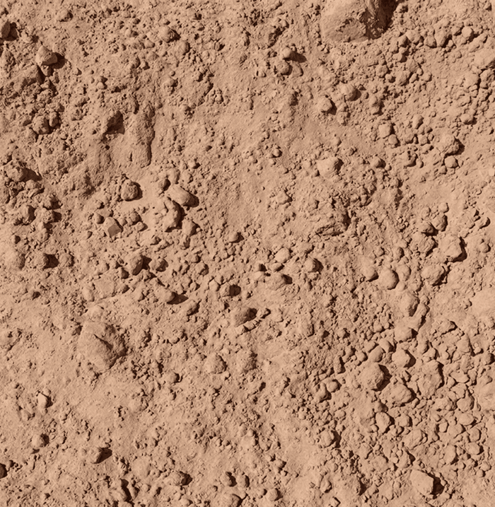 Sandy Loam