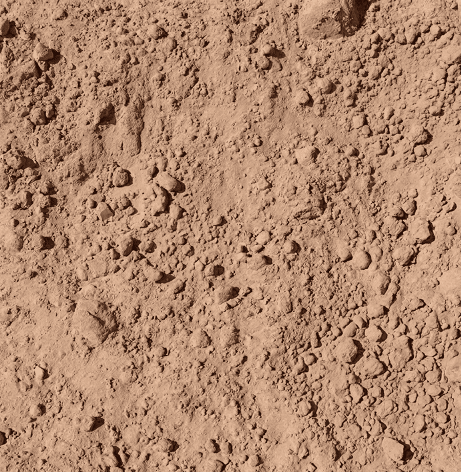 Sandy Loam