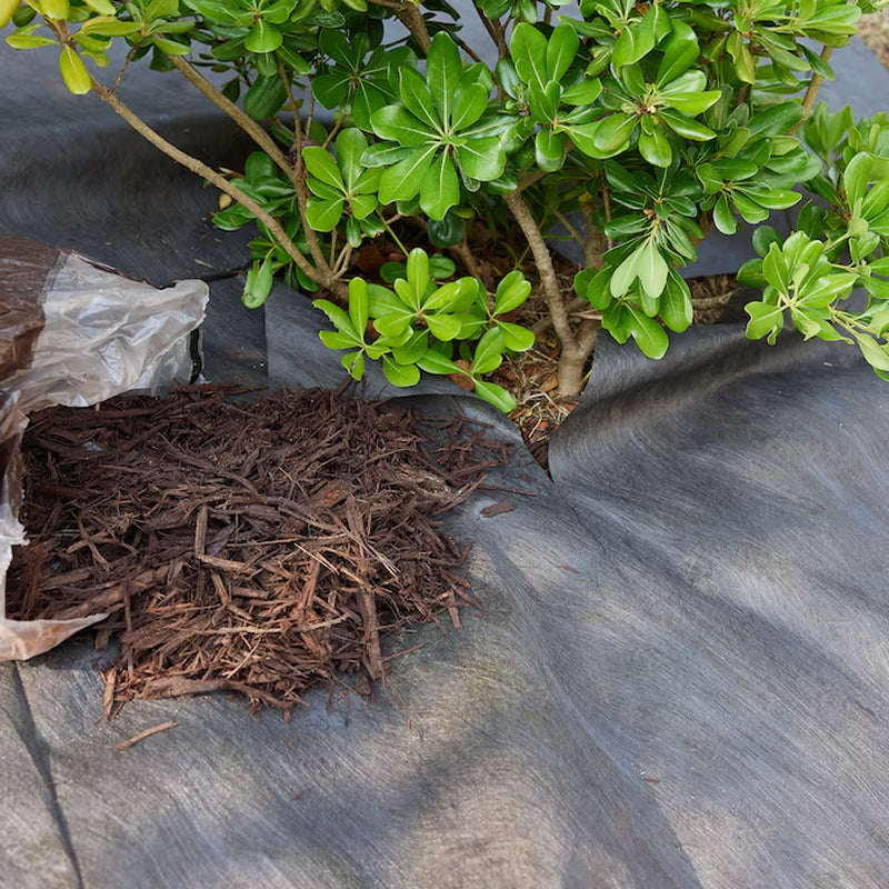50-Ft X 3-Ft Basic Weed Barrier Landscape Fabric