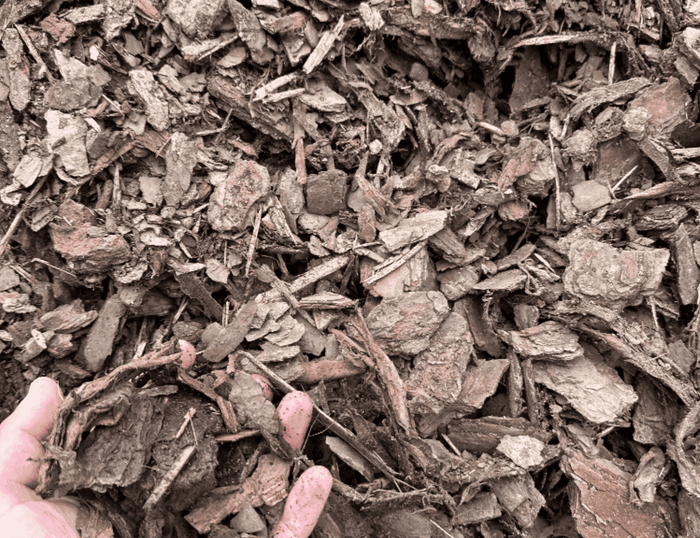 Pine Bark Nuggets