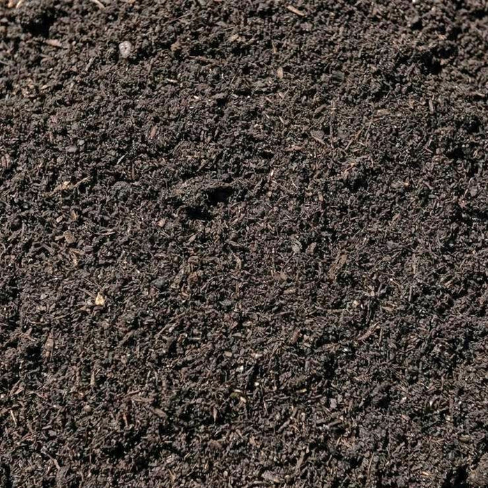 Mushroom Compost