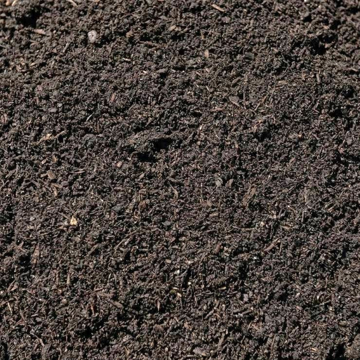Mushroom Compost