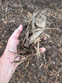 Baton Rouge Mulch Delivery