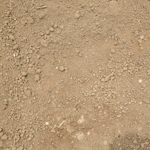 Screened Topsoil