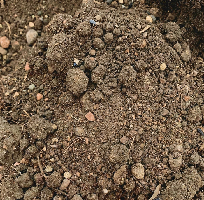 Fill Dirt