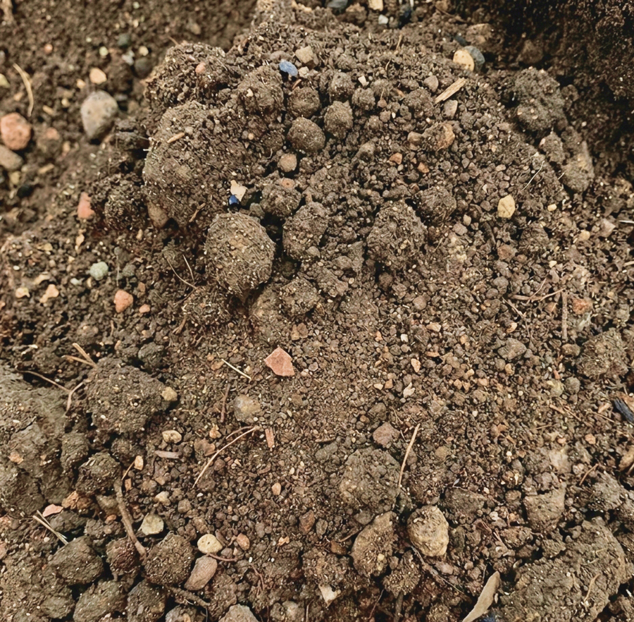 Fill Dirt